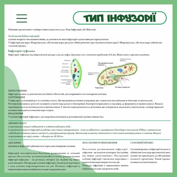 Стенд з біології “Тип інфузорії”