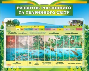 Стенд з біології “Розвиток рослинного та тваринного світу”